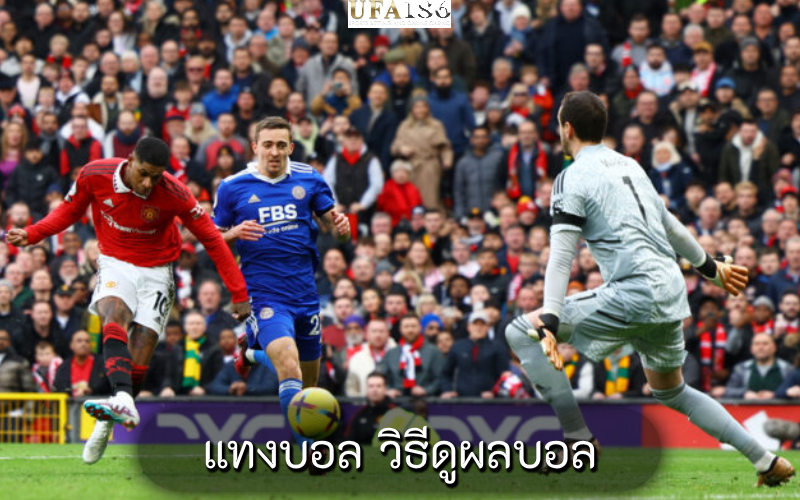 แทงบอล วิธีดูผลบอล